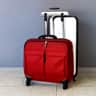 A small picture of Rolling Cases for Sports Equipment